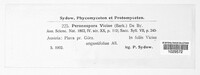 Peronospora viciae image